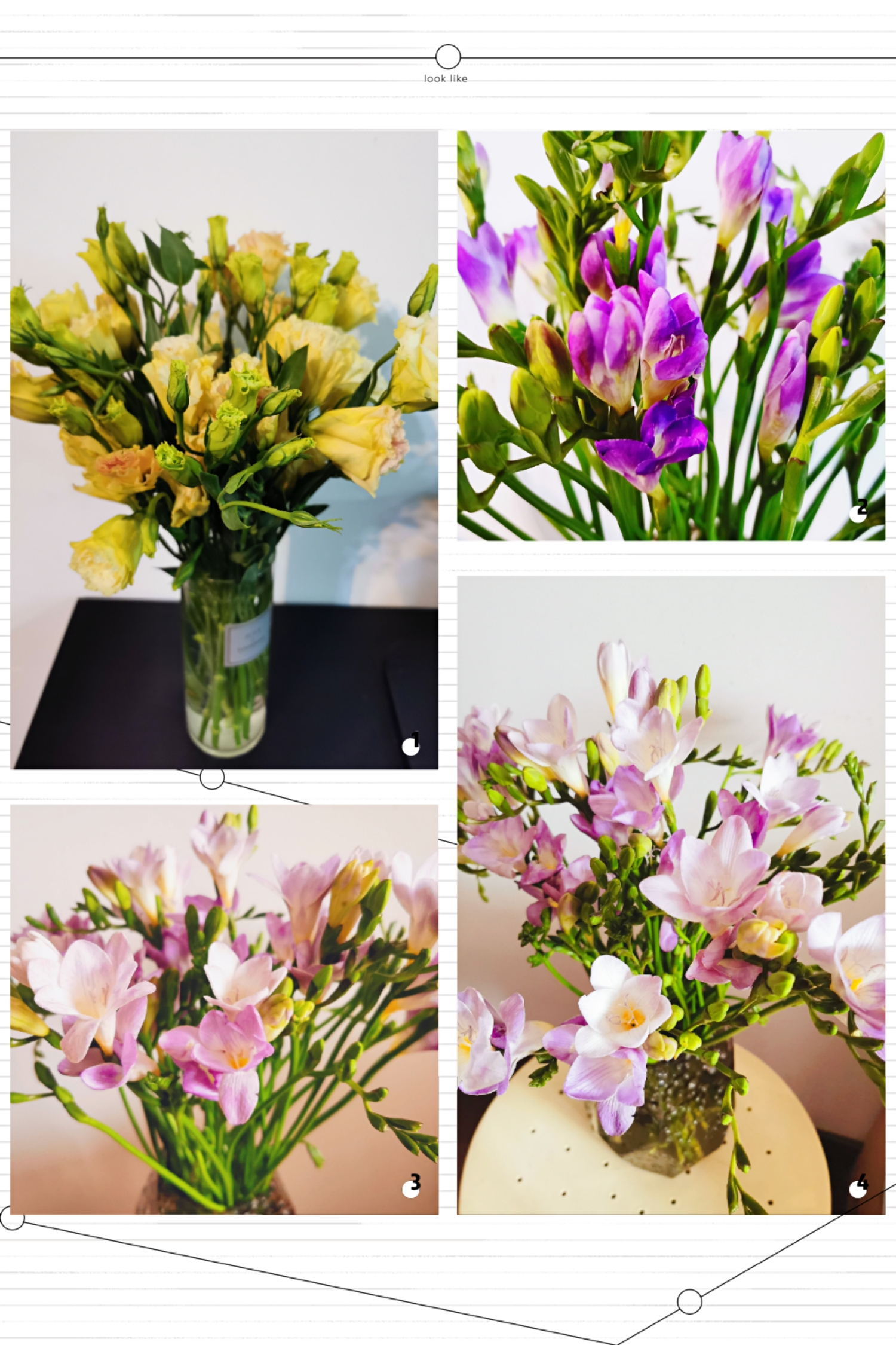 Happy Women’s Day | 戰(zhàn)疫時(shí)期，這個(gè)三八節(jié)，我們“e”起過！